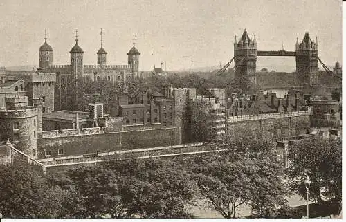 PC05478 Turm und Turmbrücke. Lachs. 1926