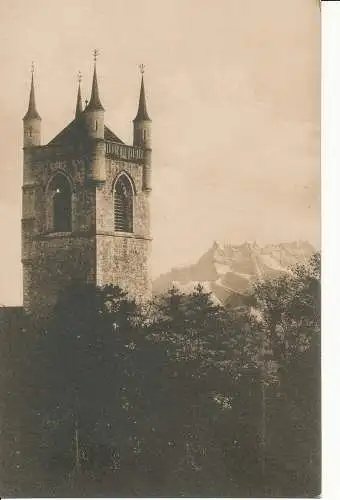 PC09271 Vevey. Kirche St. Martin und die Dents du Midi. S. A. Schnegg. Nr. 1034