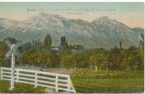 PC11182 Winterszene in Kalifornien. Orange Fieles und schneebedeckte Berge. M.