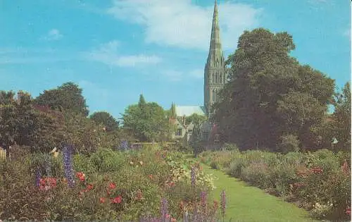 PC06433 Kathedrale von Salisbury aus dem Kirchengarten. Lachs