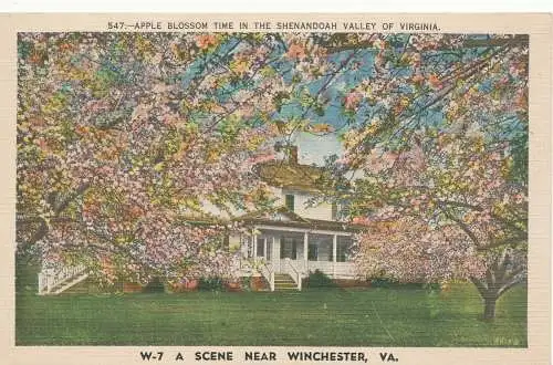 PC11192 Apfelblütezeit im Shenandoah Valley von Virginia. Asheville. Nr. 5
