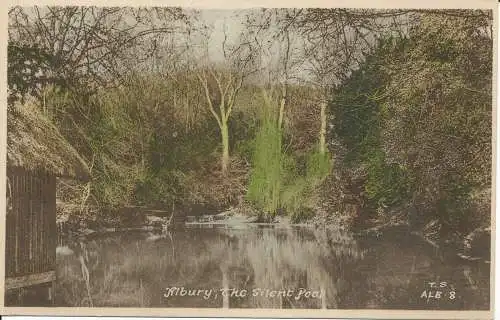 PC08823 Albury. Der Silent Pool. Frith