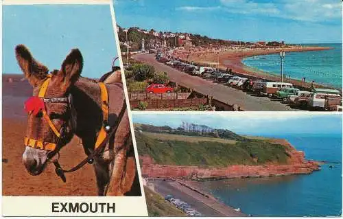 PC06364 Exmouth. Multi-View. 1980