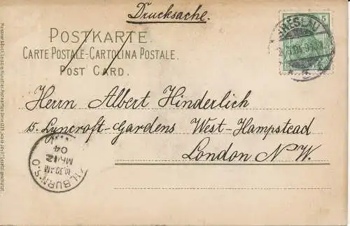 PC09203 Alte Postkarte. Hirsche und Does in der Nähe von Wasser. Meissner und Buch. 1904