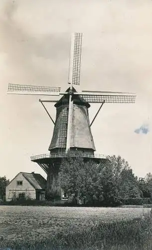 PC08166 Arkel. Molen Jan van Arkel. 1956