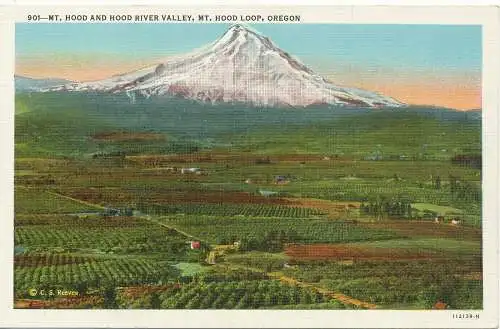 PC11180 Mt. Hood und River Valley. Mt. Kapuzenschleife. Oregon. Wesley Andrews. Nr. 901