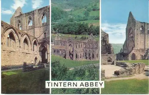 PC06370 Tintern Abbey. Multi-View. Lachs