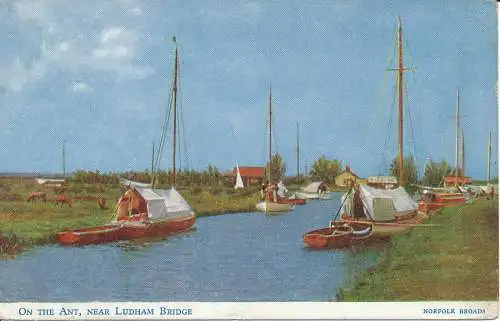 PC06881 auf der Ameise. In der Nähe der Ludham Bridge. Norfolk Broads. Lachs. Nr. 523c. 1956