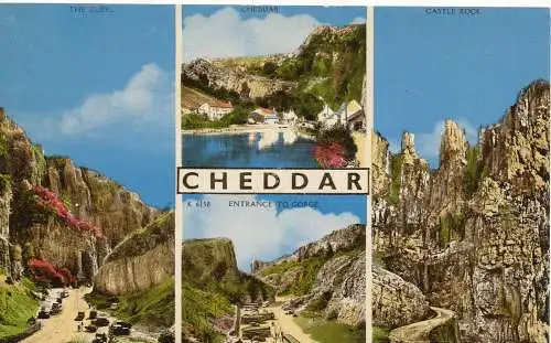 PC11789 Cheddar. Multi View