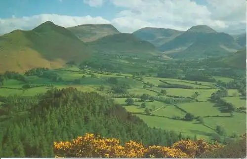 PC06733 Newlands Valley mit Catbells links. Tpm Wright. Sanderson und Dixon.