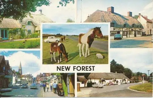 PC06730 New Forest. Multi-View. Nr. PLC2835. 1967