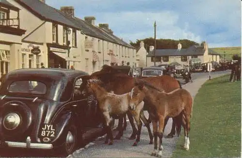 PC06899 Dartmoor Ponys in Princetown. Jarrold. Cotman Farbe. Nr. KDM 116