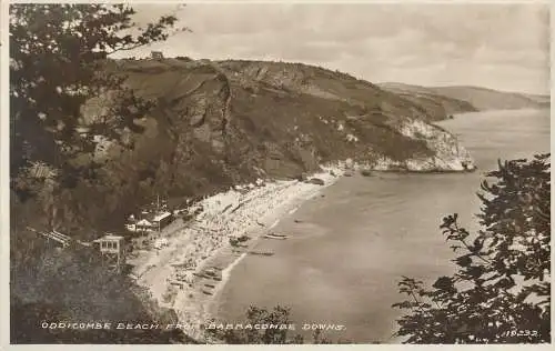 PC10698 Oddicombe Beach von Babbacombe Downs. Nr. 19232. RP