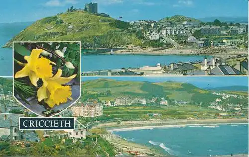 PC06864 Criccieth von der Burg und der Meeresfront und der Burg. Bamforth. Farbglos