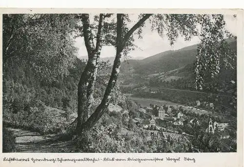 PC10463 altes Foto. Dorf vom Berg. Schoning. Nr. 43253