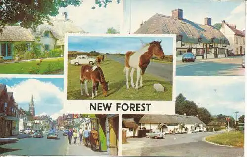 PC06910 New Forest. Multi-View. 1970