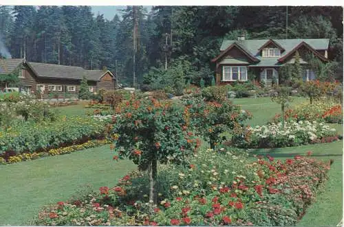 PC10014 Vancouver. B.C. Ein Blick auf die Shakespearian Gardens im Stanley Park. Li