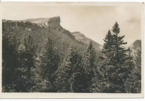 PC11991 Alte Postkarte. Berge und Wald. A. Deriaz. RP. 1932