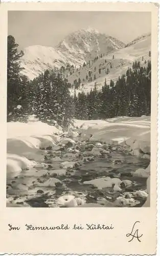 PC12117 Im Hemerwald bei Kuhtai. Verlag Lohmann. 1938