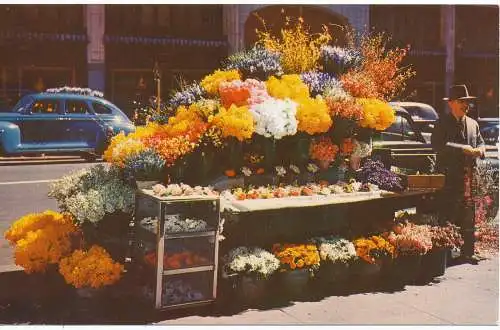 PC12233 San Francisco Blumenständer. H. Eberhard. Nr. C179