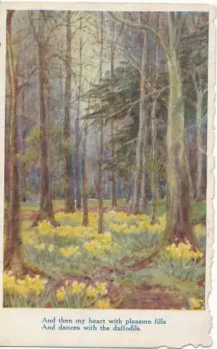 PC13342 Alte Postkarte. Holz. Flora Pilkington. Woodland-Serie. 1933