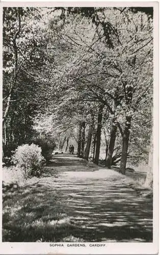 PC13702 Sophia Gardens. Cardiff. RP. 1954