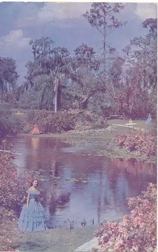 PC12314 Cypress Gardens. Florida. Mike Roberts. Nr. C1439