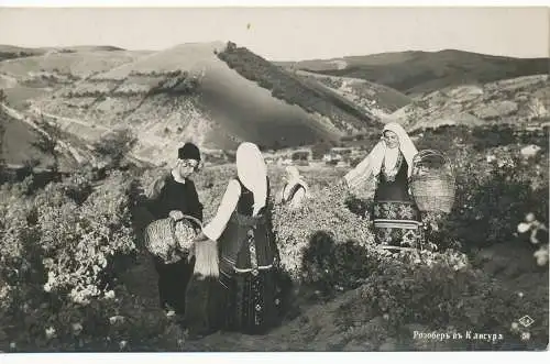 PC12035 Damen und Herren, die auf dem Feld arbeiten