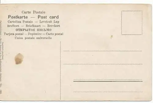 PC13244 Stachelbeeren. Martin Rommel. Nr. 704