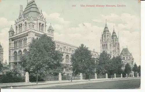 PC14127 Das Naturhistorische Museum. London. Nr. 519. 1908