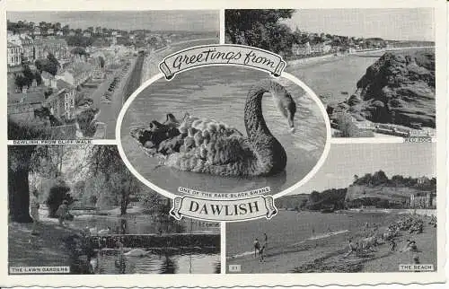 PC14173 Grüße von Dawlish. Multi View Postkarte