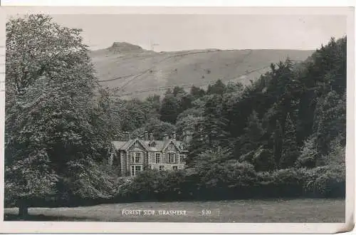 PC15181 Waldseite. Grasmere. Nr. S 20. RP. 1948