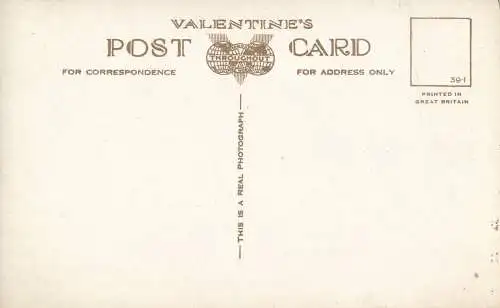 PC14718 Totnes von Sharpham Road. Valentinstag. Nr. 24542. RP