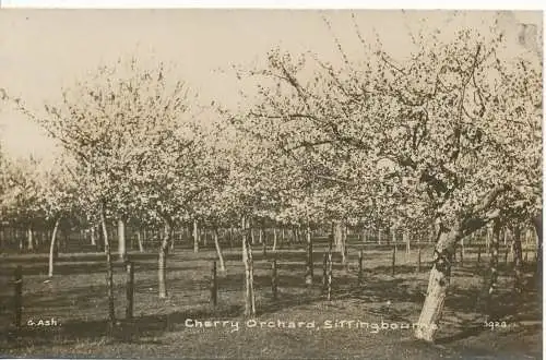 PC15232 Kirschgarten. Sittingbourne. G. Asche. Nr. 3928. RP