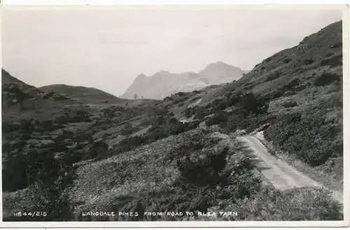 PC14784 Langdale Hechte von der Straße nach Blea Tarn. Sankey. RP. 1957