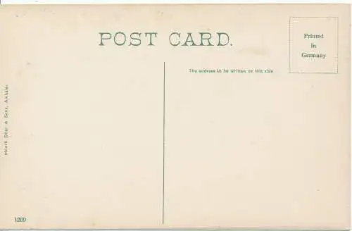 PC12739 Kasauli. Die Ebenen von St. Wolke. Moorli Dhur. Nr. 1209