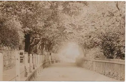 PC14947 alte Postkarte. Brücke. F. Nicholls. RP