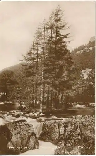 PC15434 Fir Tree Island. Bettws Y Coed. Valentinstag. Nr. 17737. RP