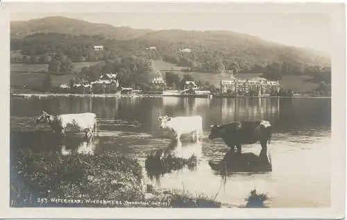 PC15791 Wasserkopf. Windermere. Abrahams Serie. RP