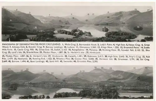 PC15474 Panorama von Derwentwater von Castlehead. Chadwick. Nr. 68225. RP