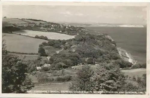 PC15905 Luccombe Common. Zeigt Culver Cliffs. Zwischen Shanklin und Ventnor. I.