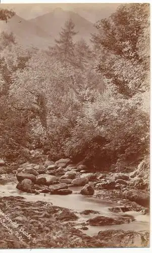 PC16289 Newlands Beck und Causey Pike. RP