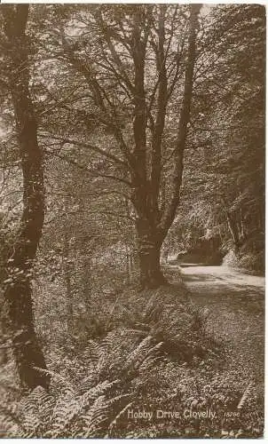 PC16400 Hobby Drive. Clovelly. Valentine XL. Nr. 18766. RP