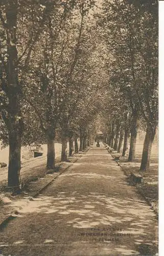 PC20221 The Avenue. Arbeitergärten. Evesham. Valentinstag. 1915