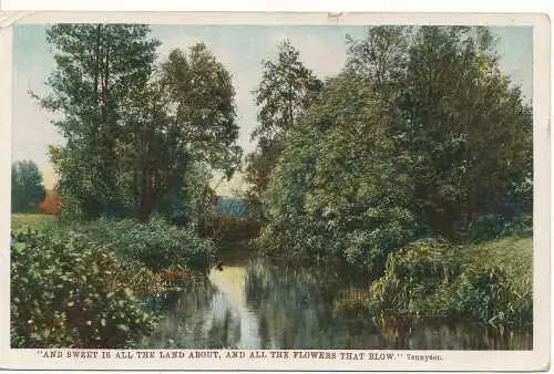 PC17642 alte Postkarte. Die Wiese. Wildt and Kray Serie 2054. 1911