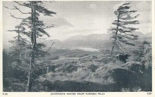 PC16564 Esthwaite Wasser aus Furness ist gefallen. Chadwick