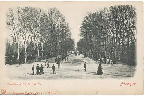 PC18507 Cascine. Allee des Königs. Florenz. 1909