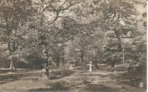 PC20223 Gummislade. Sutton Park. Edwards. 1914