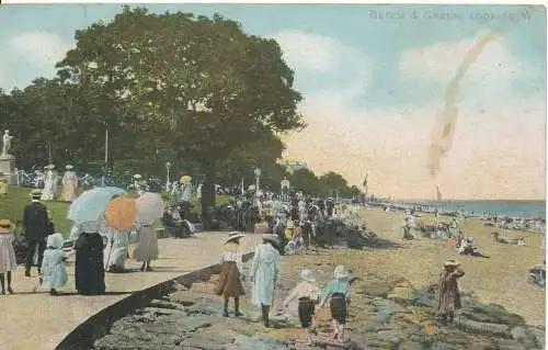 PC16872 Buche und Grün. Looking W. Nature Farbe. 1907