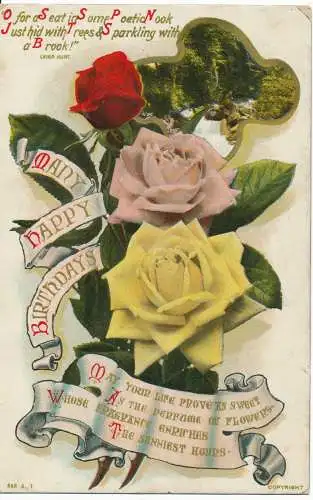 PC17728 Grußkarte. Viele alles Gute zum Geburtstag. J. Beagles und Co. 648. 1911